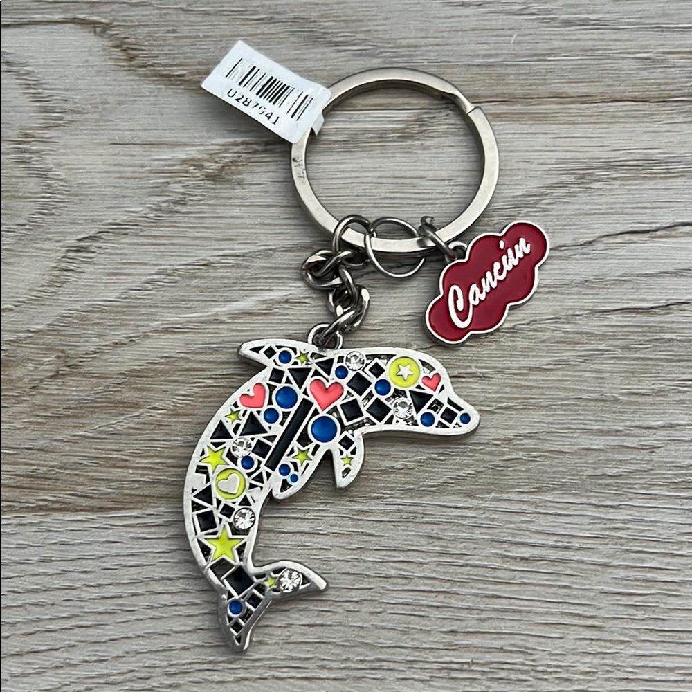 Colorful Dolphin Keychain